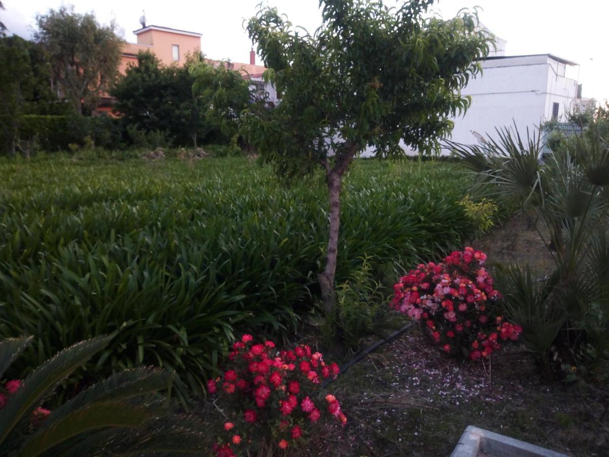 La Maison Di Sara Santa Maria La Carità エクステリア 写真